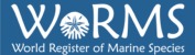WORMS World Register of Marine Species logo